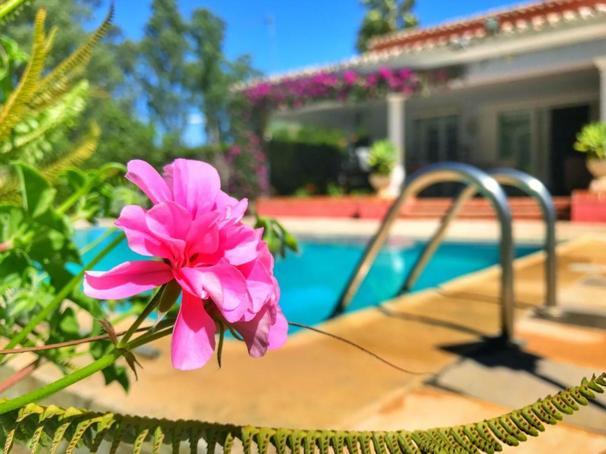 Bed & Breakfast El Nácar Marbella