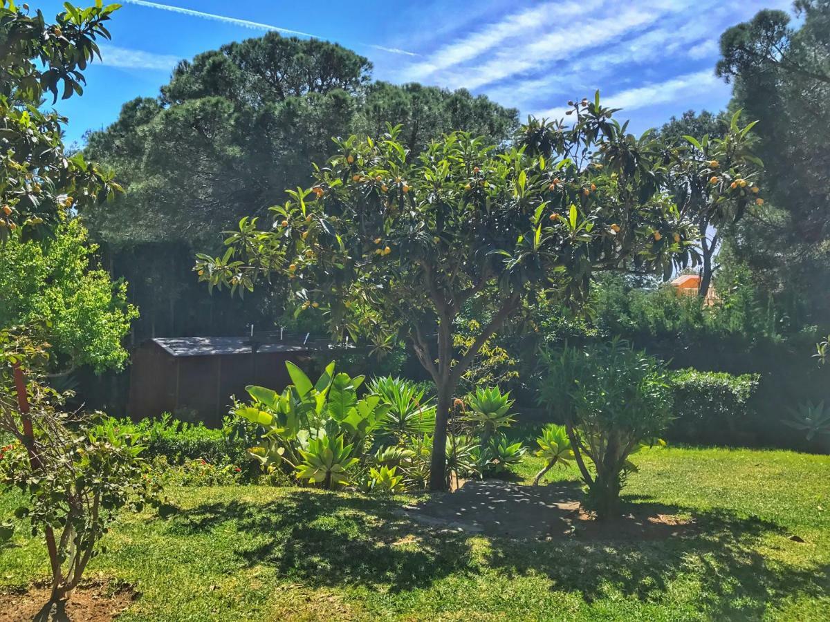 Bed & Breakfast El Nacar *