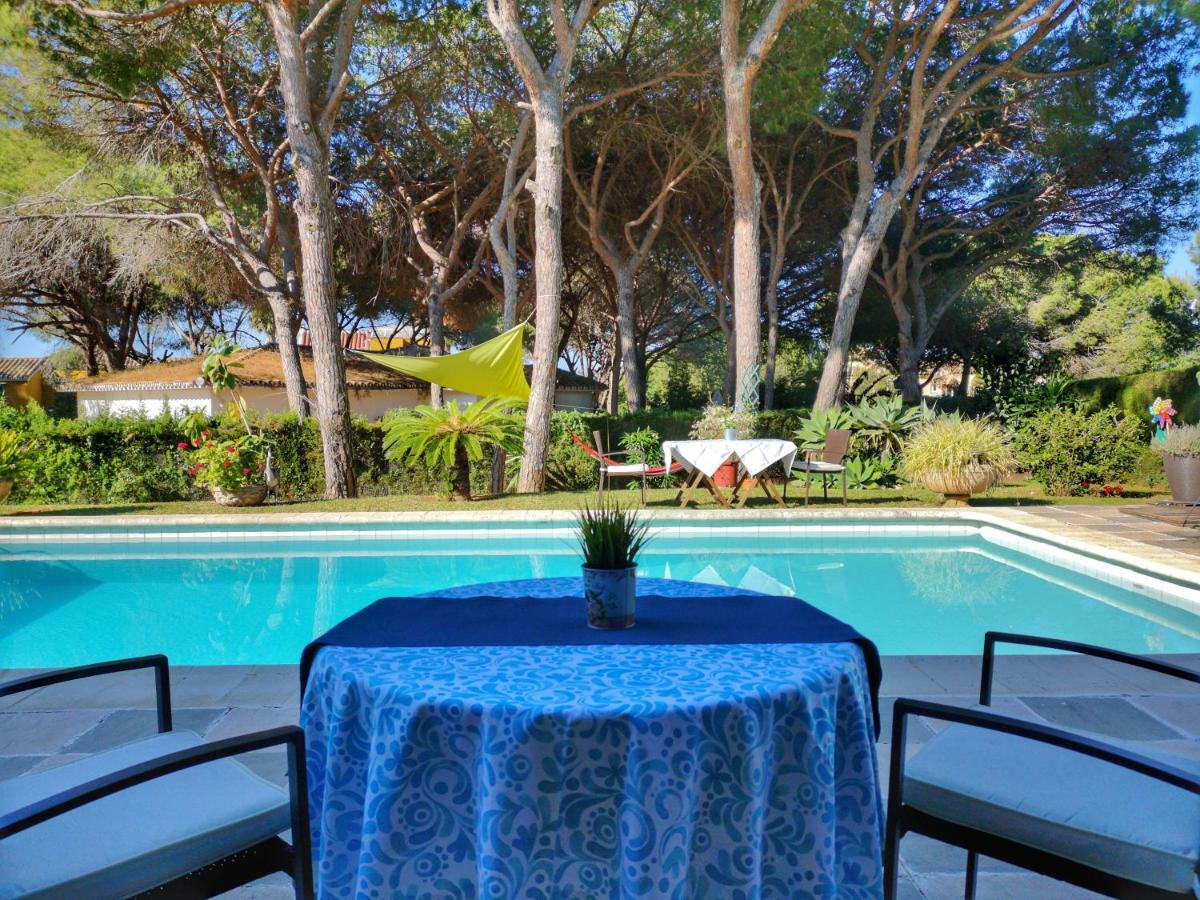 Bed & Breakfast El Nacar